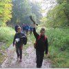 IMG_2010