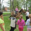 IMG_5858