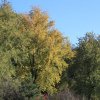 img_6191