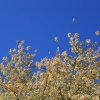 img_6207