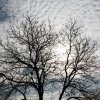 img_6367