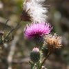 img_6453