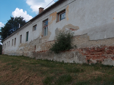 HPIM6193