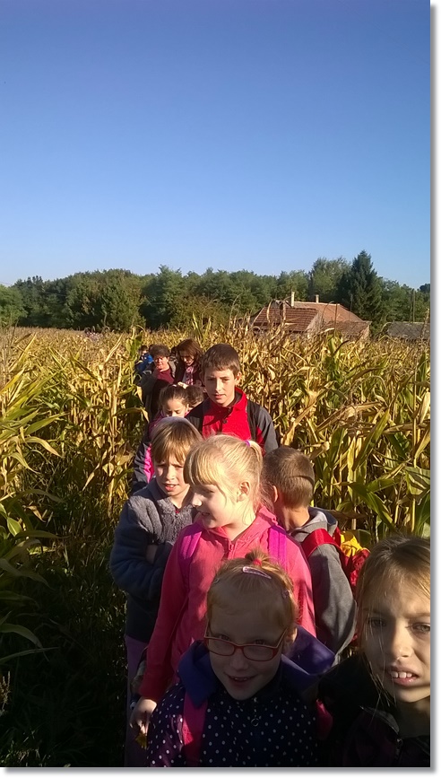 WP_20151001_09_23_07_Pro