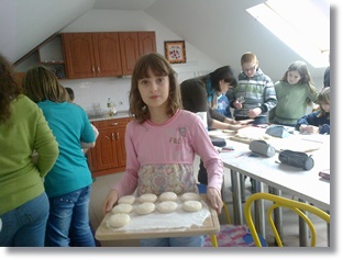 201311183292